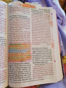 Highlighted Bible Text