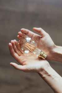 Hands holding a light bulb 
